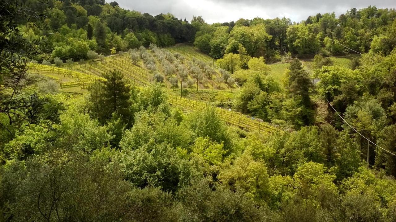 Little B&B Della Pieve Figline Valdarno Exterior foto